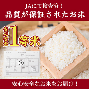 【E7108】《定期便・全4回》上士別清流米 ななつぼし (5kg×4回・計20kg) 米 お米 精米 白米 北海道米 ごはん ななつぼし 北海道産 士別産 5kg 20kg 定期便 【合同会社T&M