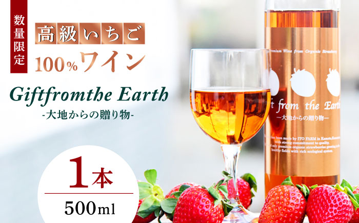 高級 いちご 100％ワイン Giftfromthe Earth -大地からの贈り物- オーガニック【伊藤農園】 お酒 ワイン オーガニックワイン 酒  [ZBB004]