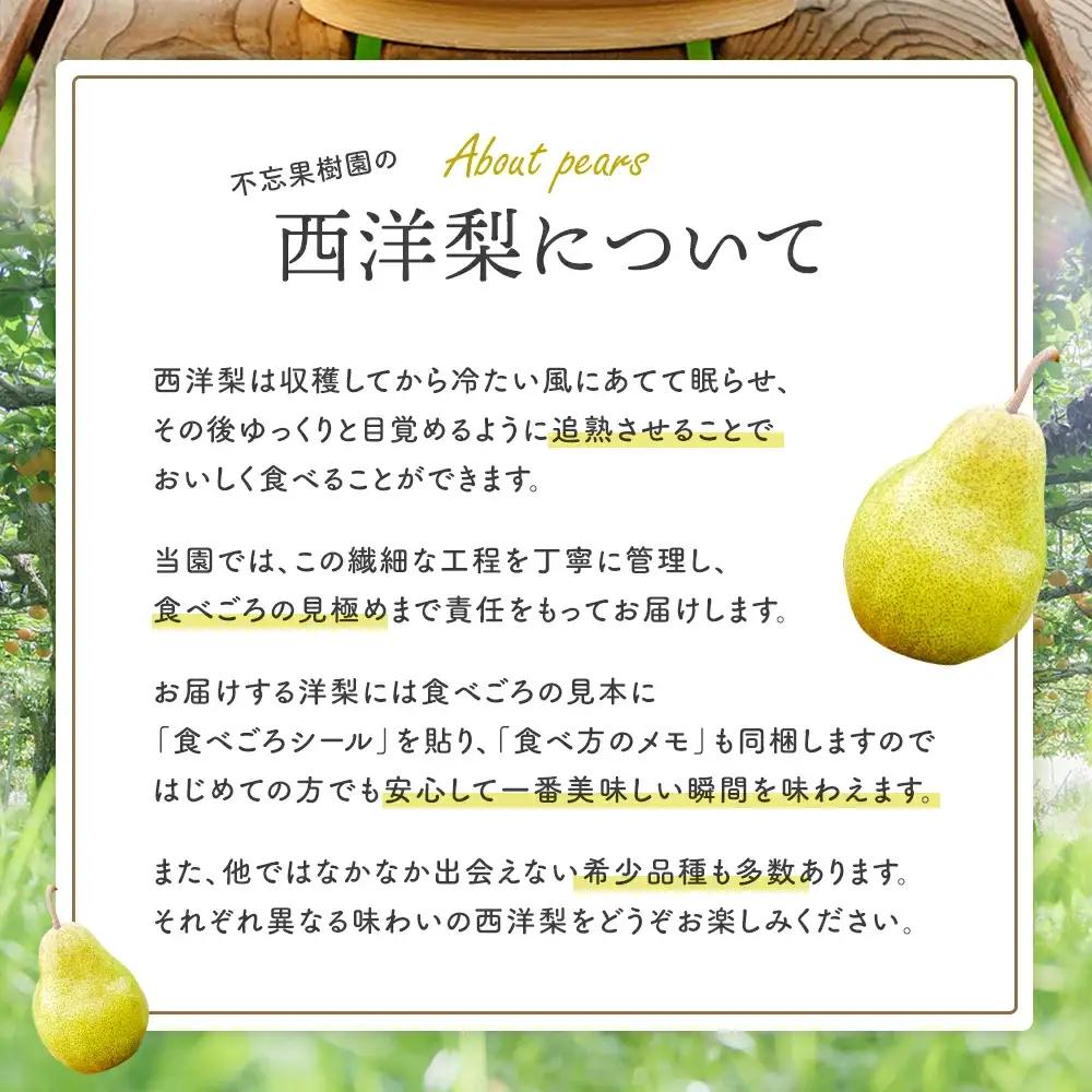 【先行予約】厳選 おいしいラ･フランス約4kg（14～18個） 蔵王産　【04301-0151】