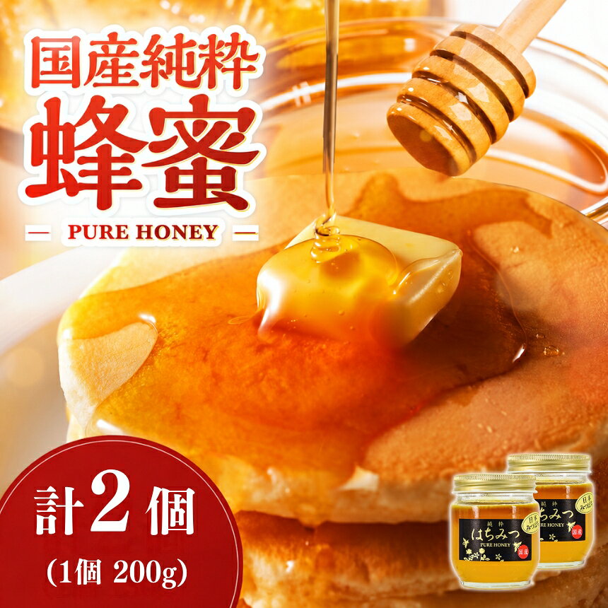 【ふるさと納税】天然はちみつ 200g 2個 （日本ミツバチ）| 国産はちみつ 日本 蜂蜜 非加熱 はちみつ ハチミツ 百花蜂蜜 大分県産 九州産 中津市 国産 送料無料