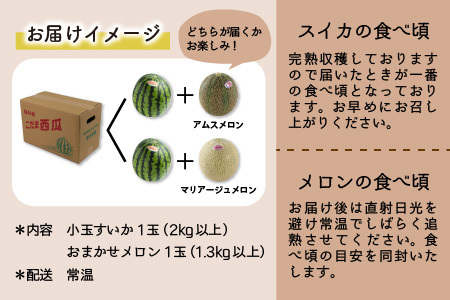 【先行予約】日を分けて2度楽しめる！小玉すいか・おすすめメロン 2種セット(2玉入) / あわら 期間限定 果物 フルーツ 産地直送 青肉 赤肉 スイカ 小玉スイカ 人気 ※2024年6月下旬より順次