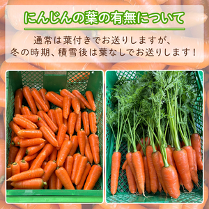 葉付きにんじん 約5kg にんじん