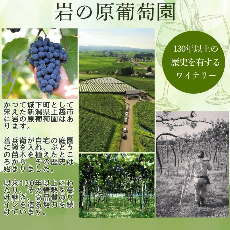 ワイン サクラアワード受賞 善スパークリングワイン 白 6本 750ml スパークリング 酒 新潟 上越 最短3日で発送