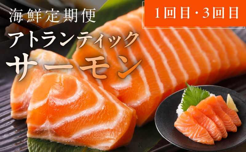 人気海鮮定期便 サーモン／真鯛 食べ比べ 全4回【毎月配送コース 小分け 訳あり サイズ不揃い 刺身 海鮮丼 人気 オススメ 冷凍】】 099Z273