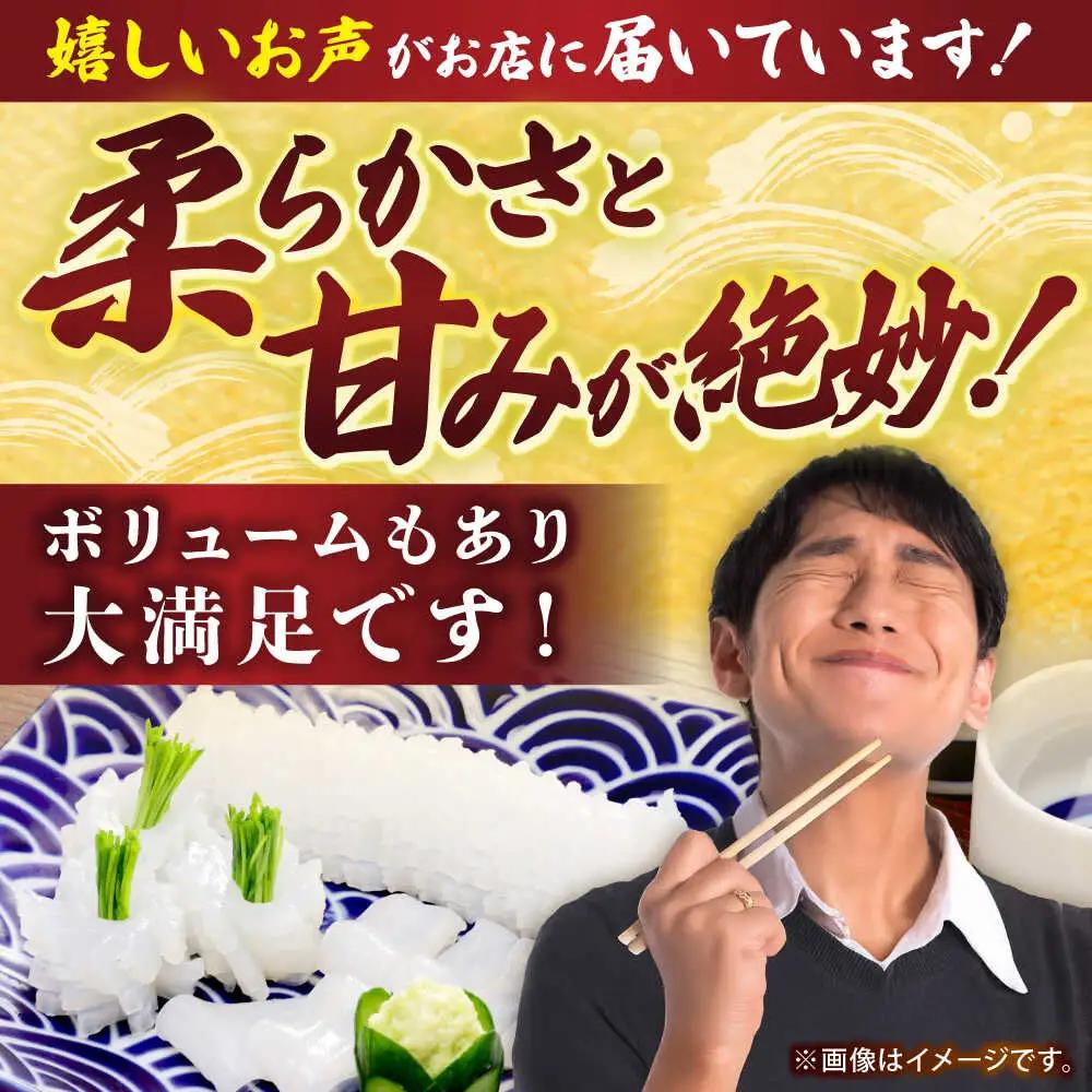 アオリイカ（刺身用） 500g [JCC023] イカ