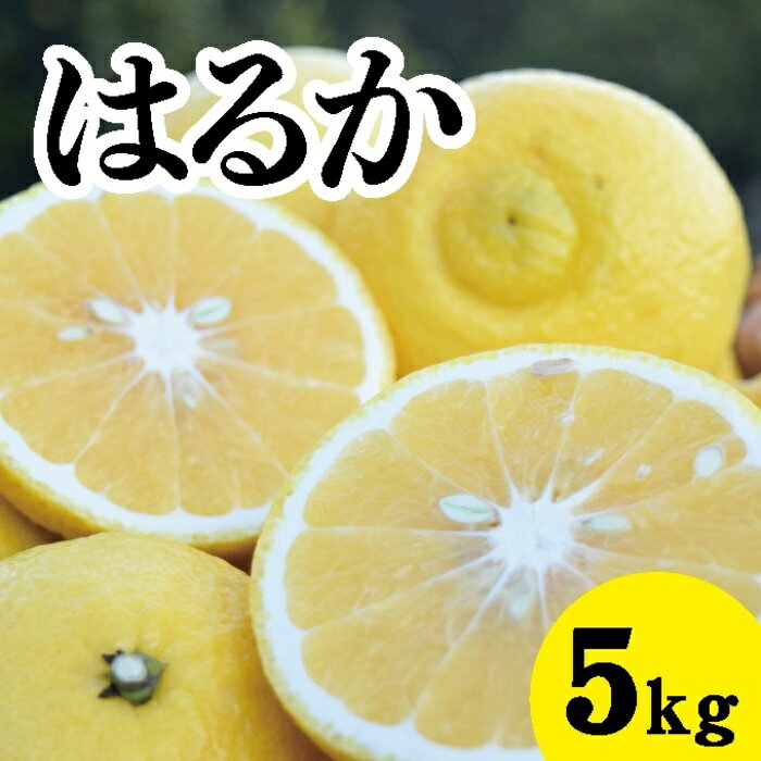 【ふるさと納税】みかん【先行受付】【2027年3月中旬以降発送】濃厚な甘みに驚愕！ 瀬戸内のはるか＜約5kg＞広島 三原 佐木島 鷺島みかんじま 017029