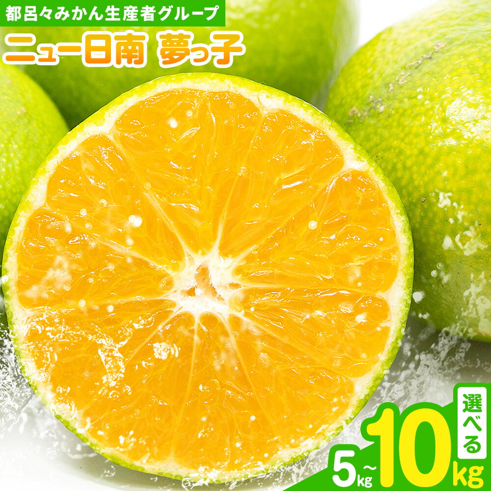 【ふるさと納税】果物 フルーツ みかん 極早生みかん ニュー日南「夢っ子」選べる内容量 約5kg 約10kg 都呂々みかん生産者グループ《9月中旬-10月上旬頃出荷予定》 ミカン 蜜柑 柑橘 生産者直送 産地直送 天草 苓北 送料無料 熊本県