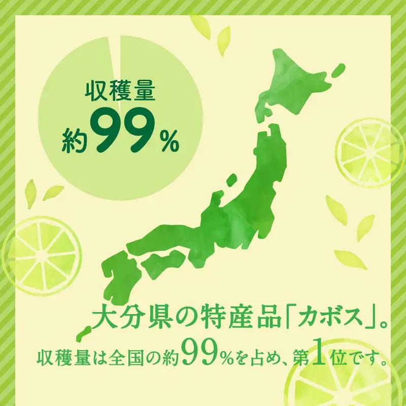 【期間限定9月末まで】大分の露地カボス 約1.8kg C09022