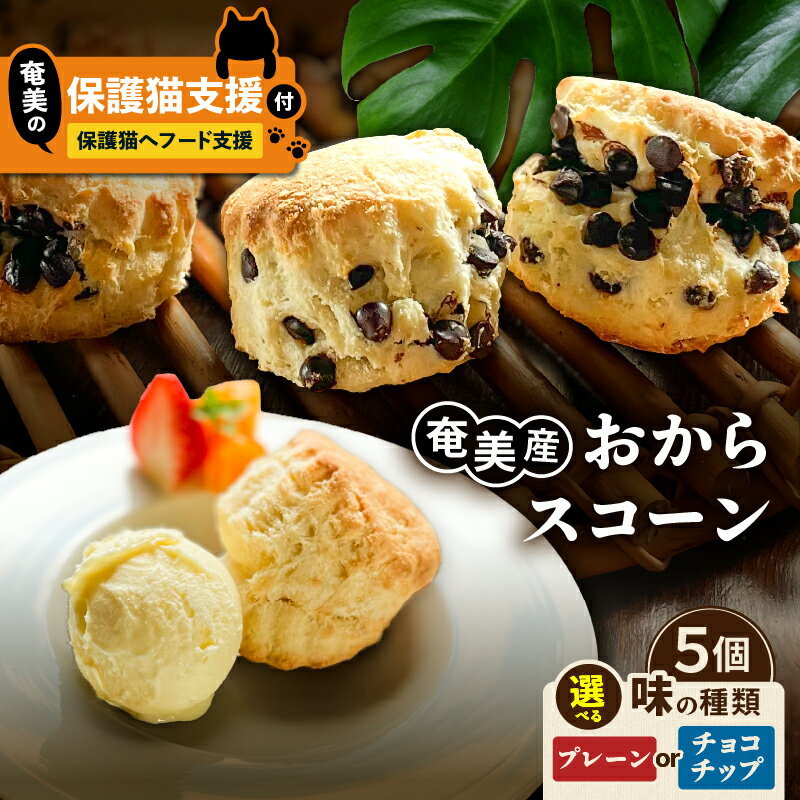 【ふるさと納税】＜選べる＞【奄美の保護猫支援 保護猫フード 10日分】＋ おからスコーン 5個 プレーン or チョコチップ 菓子 スイーツ スコーン おから ヘルシー チョコ 保護猫 猫 支援 cafeCOVOTANA ふるさと納税 鹿児島 奄美市 おすすめ ランキング プレゼント ギフト