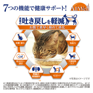 AllWell 早食いが気になる猫用 フィッシュ味 1.5kg×2袋 ペットフード
