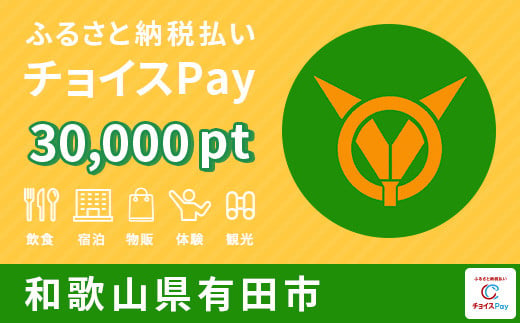 
有田市チョイスPay 30,000pt（1pt＝1円）【会員限定のお礼の品】
