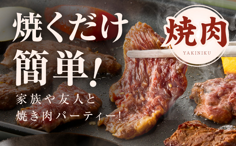 【満足ハラミ】中辛タレ漬け 合計2.5kg 【味付け ハラミ 小分け 焼くだけ 簡単調理 BBQ 牛肉 250g×10P】 099H3709_イメージ5