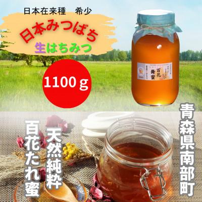 ふるさと納税 南部町 青森県南部町　日本ミツバチのはちみつ　希少な百花舞蜜1100g