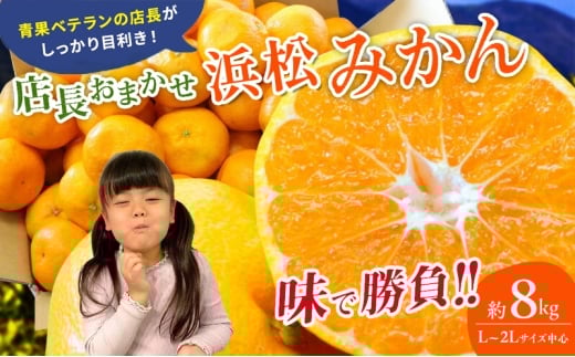 【訳あり】店長おまかせ浜松みかん 約8kg サイズL～2L ミカン 蜜柑 フルーツ  みかん ミカン 三ヶ日 みかん 蜜柑 糖度 静岡 浜松市 [№5360-0981]