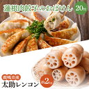 【ふるさと納税】【セット販売】太助レンコン&蓮根肉餃子のおばけん 【2kg&20粒】【野菜 ギョーザ れんこん しゃきしゃき おいしい 食べきり 茨城県 鹿嶋市】（KBU-4）