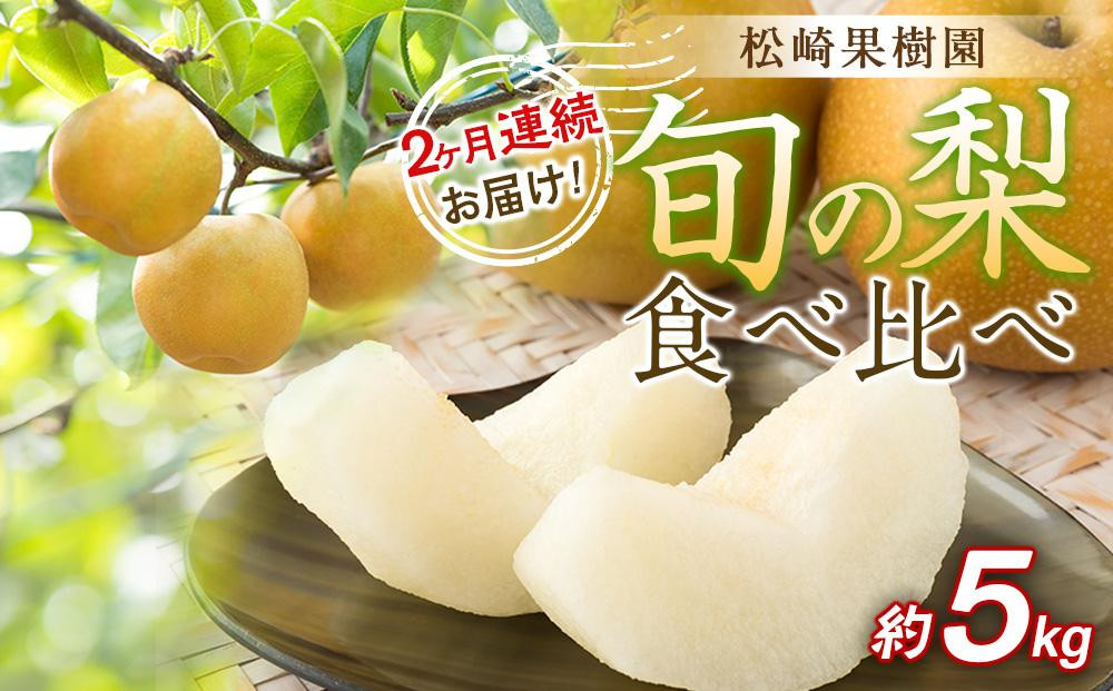 
            2ヶ月連続お届け 旬の梨食べ比べ 約5kg【松崎果樹園】
          
