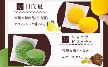 静マカロン ふるさと香る彩りセレクト 6種6個入≪みやこんじょ特急便≫_LE-C206-Q_(都城市) マカロン スイーツ ショコラ いちご 日向夏 ショコラピスタチオ バイオ茶 黒ごま