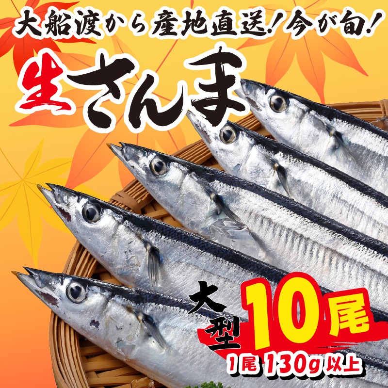 さんま 大型10尾 冷蔵 鮮秋刀魚 期間限定 [発送:2025年9月～2025年11月下旬頃] 三陸 岩手 大船渡市 [kama016]