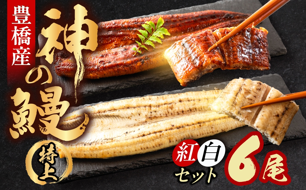 
                  うなぎの新ブランド、開幕。『神の鰻』6尾【紅白セット】 国産 特上 選べる お届け時期 鰻 うなぎ unagi ウナギ 蒲焼 長蒲焼 国産うなぎ 上 特上 贈答 ギフト お歳暮 プレゼント お祝い 誕生日 土用の丑の日 愛知県 豊橋市
                