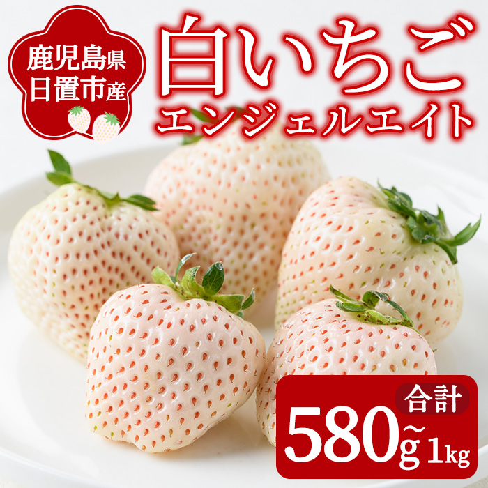 No.1139 ＜先行予約受付中！＞白いちご エンジェルエイト(約580g～1kg) 国産 九州産 鹿児島 日置市 生鮮食品 苺 イチゴ 白苺 果物  フルーツ 天使のいちご【ままりあ農園】