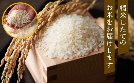 【特Aランク】 令和7年北海道産 ゆめぴりか5kg | ゆめぴりか_04805