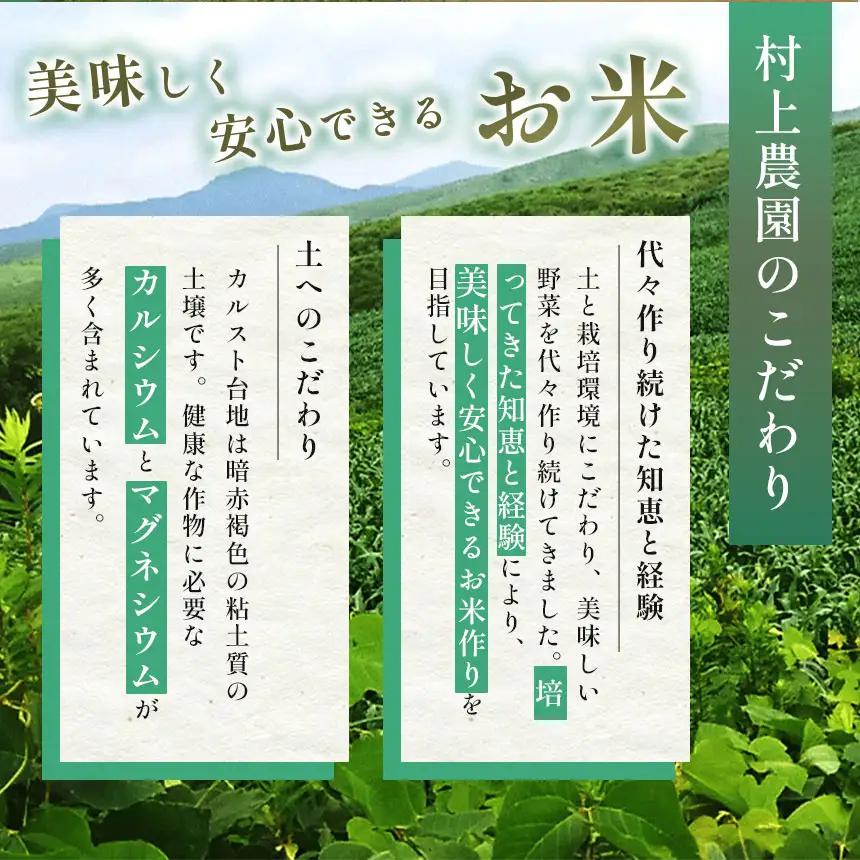 令和8年度産 新米 きぬむすめ 白米 5kg 村上農園 先行予約 ＜2026年10月中旬より11月末まで順次発送 ＞