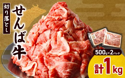 切り落とし 牛肉 ブランド牛 1kg ( 500g × 2P ) せんば牛 小分け 肉 冷凍 国産牛 国産牛肉 国産 切り落とし きりおとし 切り落し 切落し 牛スライス HACCP 千葉県 旭市 地方の恵み cnm005