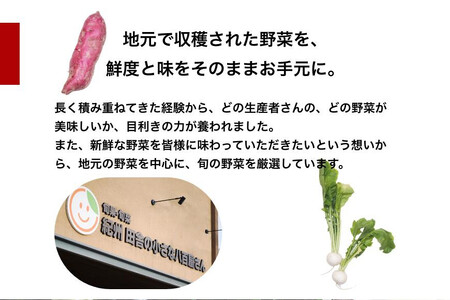 旬の新鮮野菜詰め合わせ 8種以上【野菜セット】【野菜 詰め合わせ セット夏野菜 冬野菜 旬の野菜】