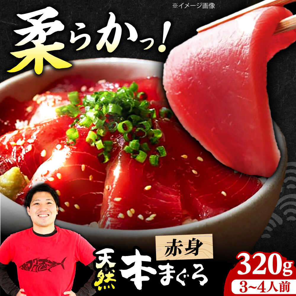 【ふるさと納税】極上！たね熟天然本まぐろ赤身(160g×2 計320g) まぐろ マグロ 鮪 赤身 刺身 大阪府高槻市/本まぐろ直売所[AOCE001]
