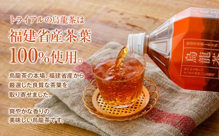 【定期便3カ月】 お茶 ペットボトル 飲み比べセット（緑茶2L×6本・烏龍2L×6本） お茶