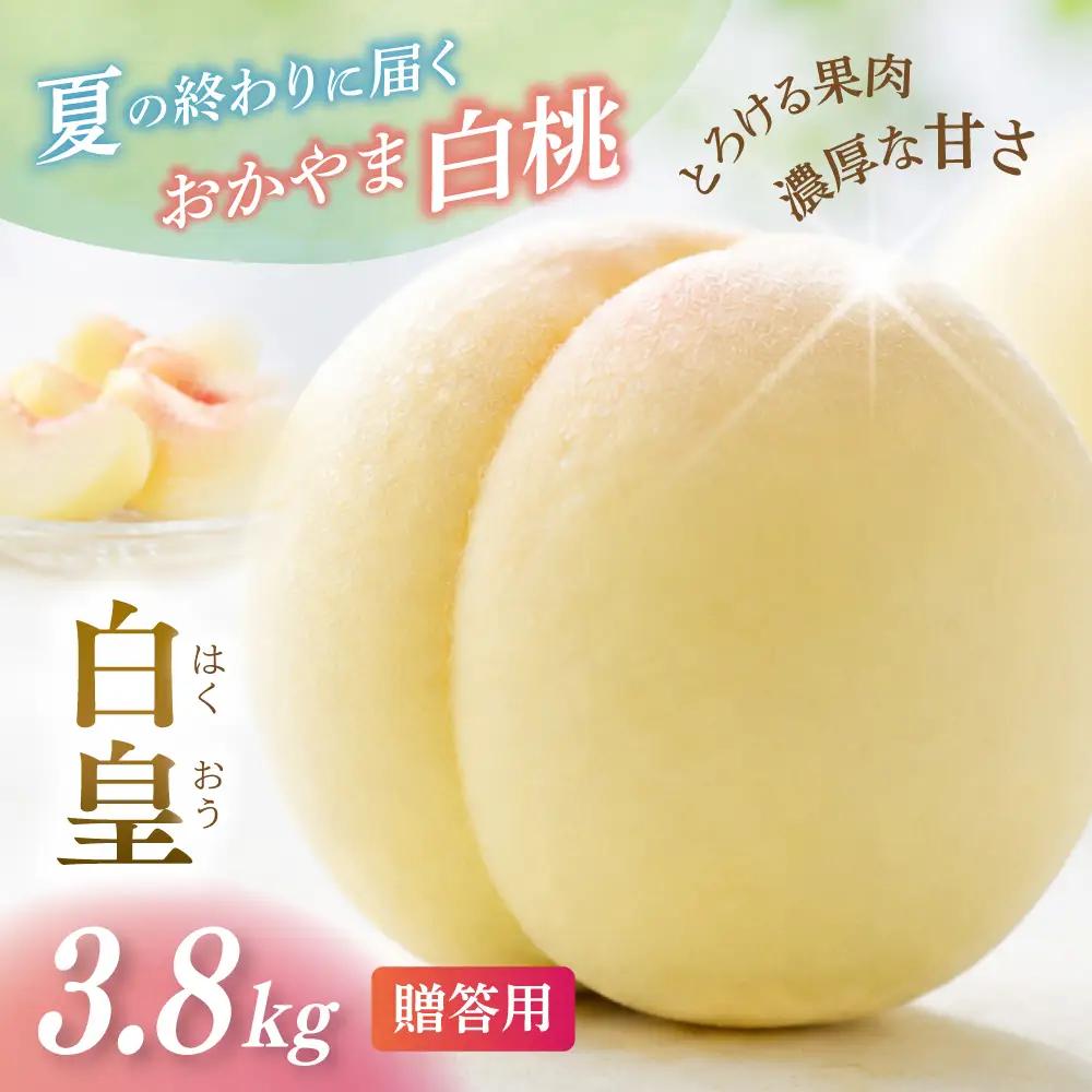 桃 岡山県産 贈答用白桃白皇もも3.8kg フルーツ もも  【hnds006】