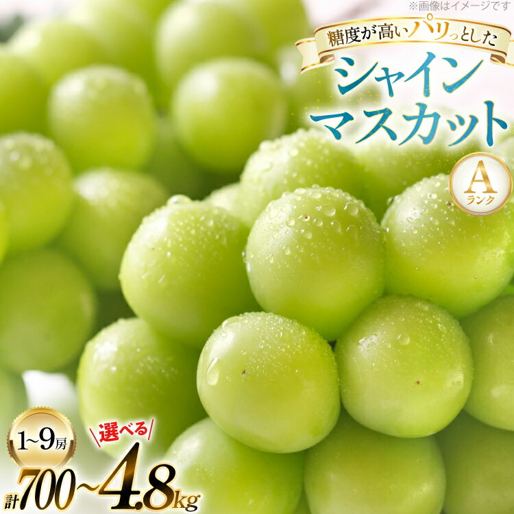【ふるさと納税】【期間限定発送】山形県産 シャインマスカット Aランク 700g 1.6kg 3.2kg 4.8kg [tk06ayt230003 山形県 高畠町 田制農園] ぶどう ブドウ 葡萄 シャイン マスカット フルーツ 果物 くだもの 産地直送 農家直送 1房 2房