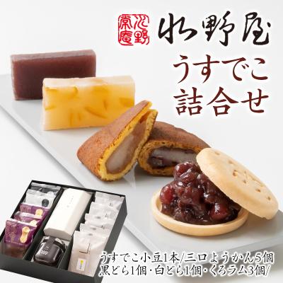 ふるさと納税 西都市 和菓子『水野屋』うすでこ詰合せ(最中・どら焼き・ようかん)[2322]