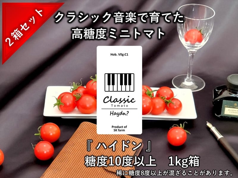 
            高糖度ミニトマト：クラシックトマト『ハイドン』1kg箱 x 2箱＜北海道・沖縄県・離島は発送不可＞【糖度は基本10度以上　『ショパン』よりもおいしい粒もある 長野県 佐久市 】
          