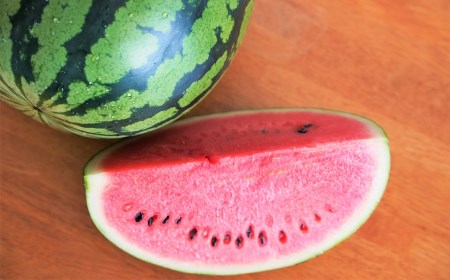 〈予約受付〉2027年発送 予約 中玉すいか 虎太郎西瓜 2玉 夏 風物詩 すいか 甘い すいか2玉 スイカ ジューシー 鈴良農園 愛知県 碧南市 送料無料 H141-016