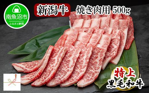 ES123 【無地熨斗】新潟和牛 南魚沼産 にいがた 黒毛和牛 焼き肉用 500ｇ 新潟県 南魚沼市
