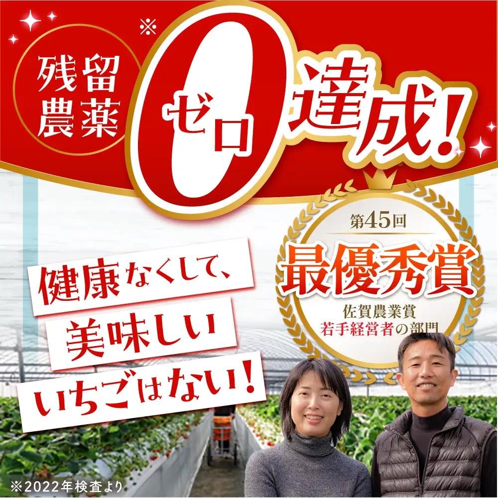 【先行予約】【1?2月発送】王様のいちご いちごさん400g×2箱 HAF009 果物 フルーツ