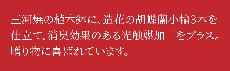 綺麗で丈夫な三河陶器で贈る 光触媒胡蝶蘭小輪３本立（白の陶器×白桃色の花）　H100-083