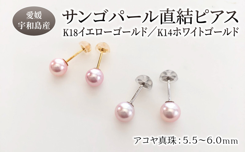 
サンゴ パール 直結 ピアス 5.5-6.0mm 松本真珠 真珠 無調色 アクセサリー ピアス パールピアス レディース アコヤ真珠 本真珠 akoya フォーマル カジュアル 慶事 弔事 結婚式 卒業式 入学式 ギフト 贈り物 国産 愛媛 宇和島 A170-068007~008
