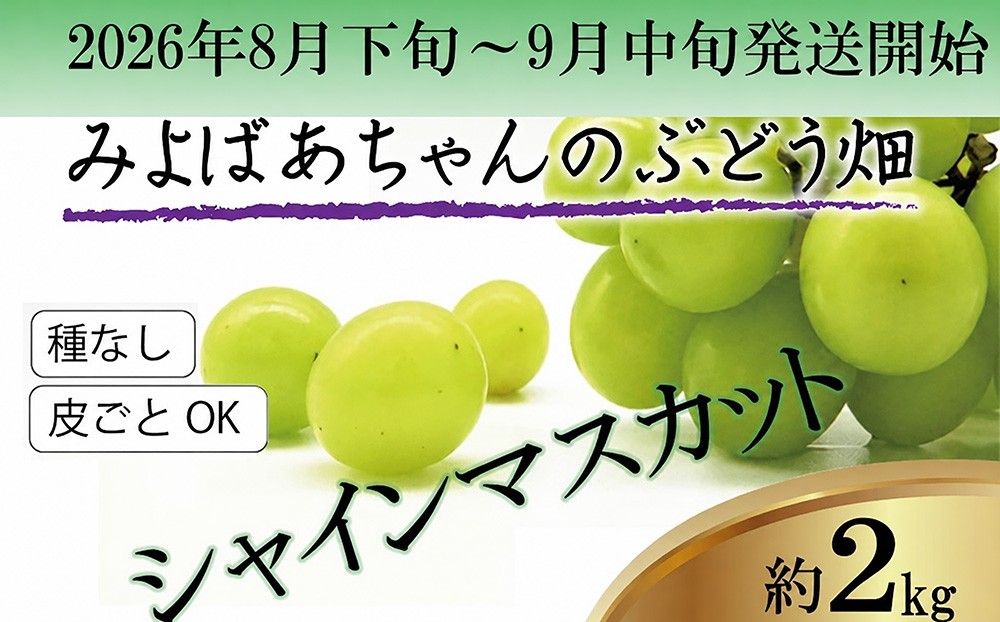 
                  ＜みよばあちゃんのぶどう畑直送！＞ 先行予約 8月下旬～9月中旬順次発送【露地栽培のシャインマスカット 約2kg(4～6房)】 [M36-3] 葡萄 ブドウ ぶどう 巨峰 果物 くだもの マスカット フルーツ 新鮮 九州 福岡 宮若
                