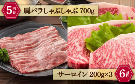 【定期便/全6回】しまね和牛　6ヵ月定期便 23170-02