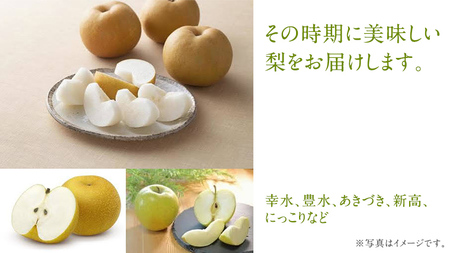 梨 3品種（各7個）【令和6年8月より発送開始】（茨城県共通返礼品：石岡市産） なし ナシ 果物 フルーツ 茨城県産