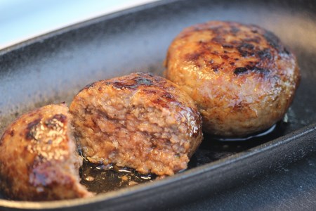 【ふるなびWEEK対象】ttn177土佐あかうしハンバーグ10個