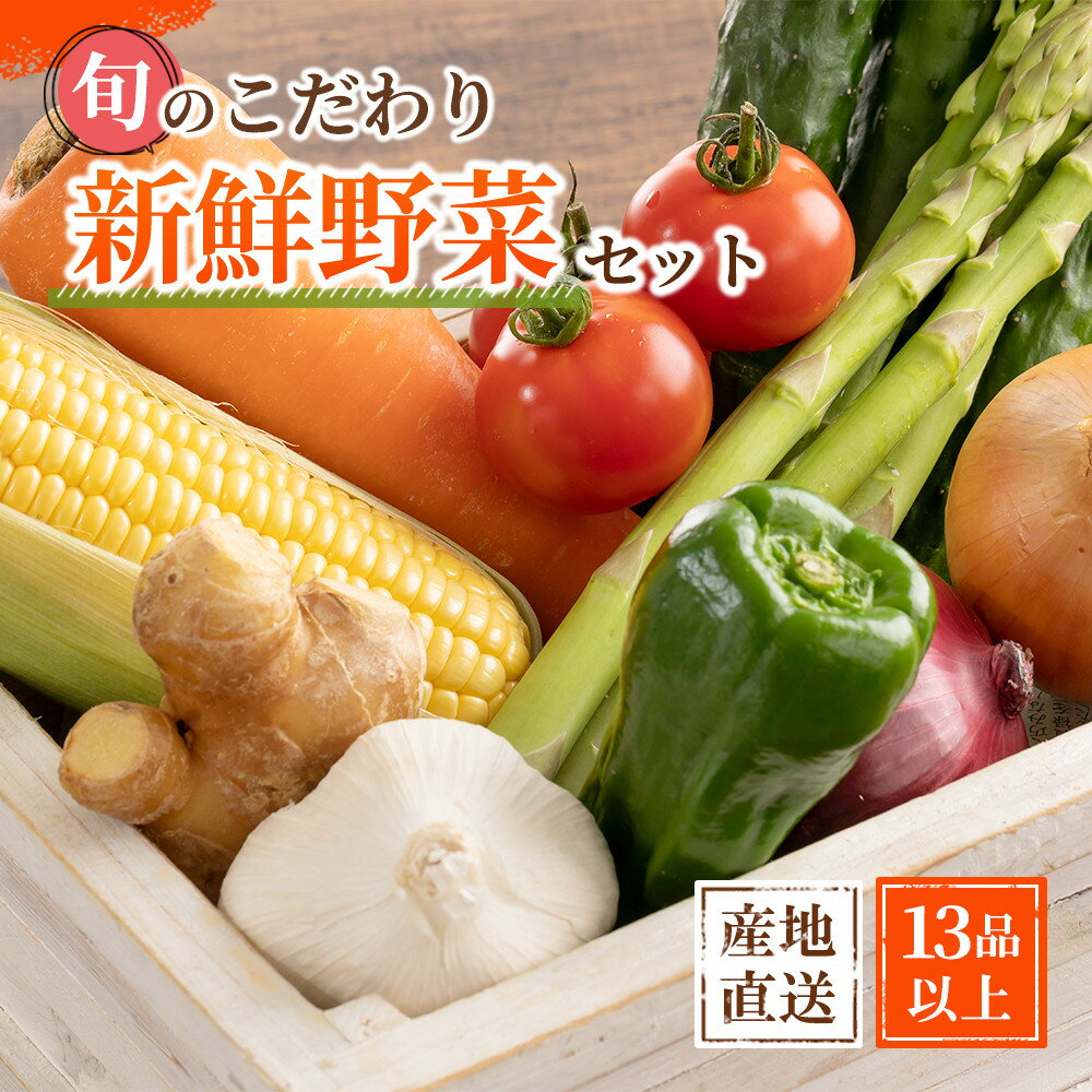 【ふるさと納税】旬の新鮮野菜セット 大満足な13種以上【野菜詰め合わせ】 | 野菜 やさい 食品 人気 おすすめ 送料無料