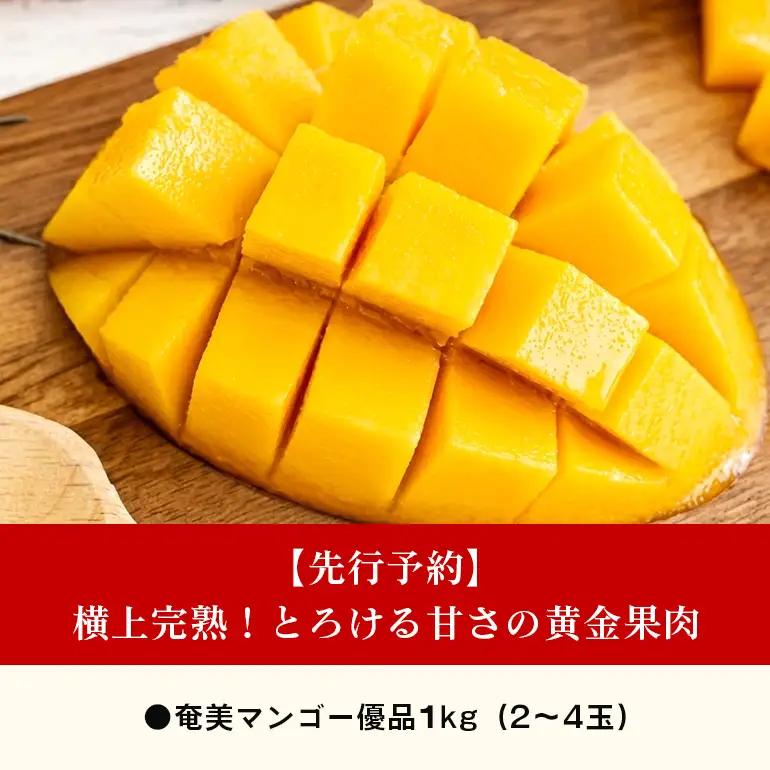【2026年 観光雑誌付き】奄美産マンゴー 優品・美玉1kg とろける甘さの黄金果肉 樹上完熟 A052-019