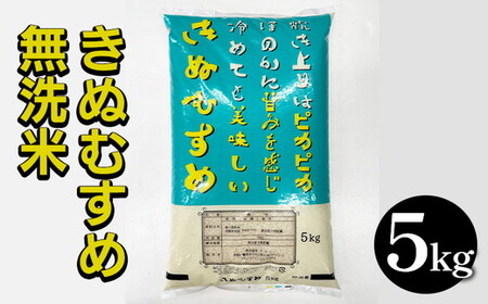 無洗米 京都亀岡産きぬむすめ 無洗米 5kg