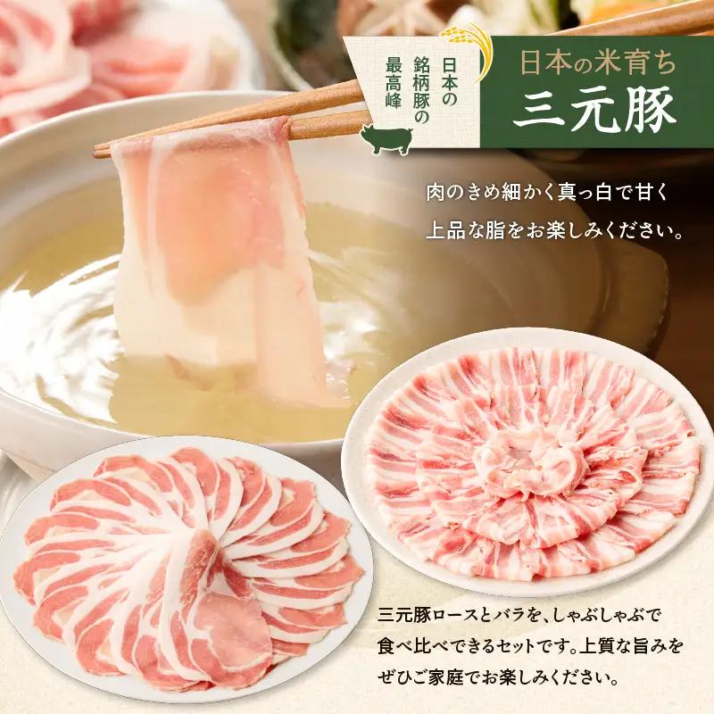 【 全6回 毎月 定期便 】 日本 の 米育ち 平田牧場 三元豚ロース 250g ・ バラ しゃぶしゃぶ ロース 250g T036-T02-02 肉 豚肉
