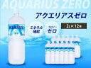 【ふるさと納税】アクエリアスゼロ PET 2L×12本(6本×2ケース) スポーツドリンク スポーツ飲料 清涼飲料水 水分補給 カロリーゼロ ペットボトル 箱買い まとめ買い 014038