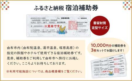 【由布市（湯布院、由布院、湯平、塚原高原）】ふるさと納税宿泊補助券30,000円分【 宿泊券】
