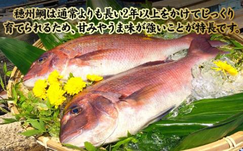 今夜は高級鯛しゃぶセット（3月配送）／ 穂州鯛 ブランド鯛 渡邉水産 しゃぶしゃぶ 鍋 サク 柵 湯引き 皮つき 松皮造り 鮮魚 真鯛 マダイ 鯛 タイ 鯛しゃぶ 刺身 魚 魚介 海鮮 養殖 国産 佐
